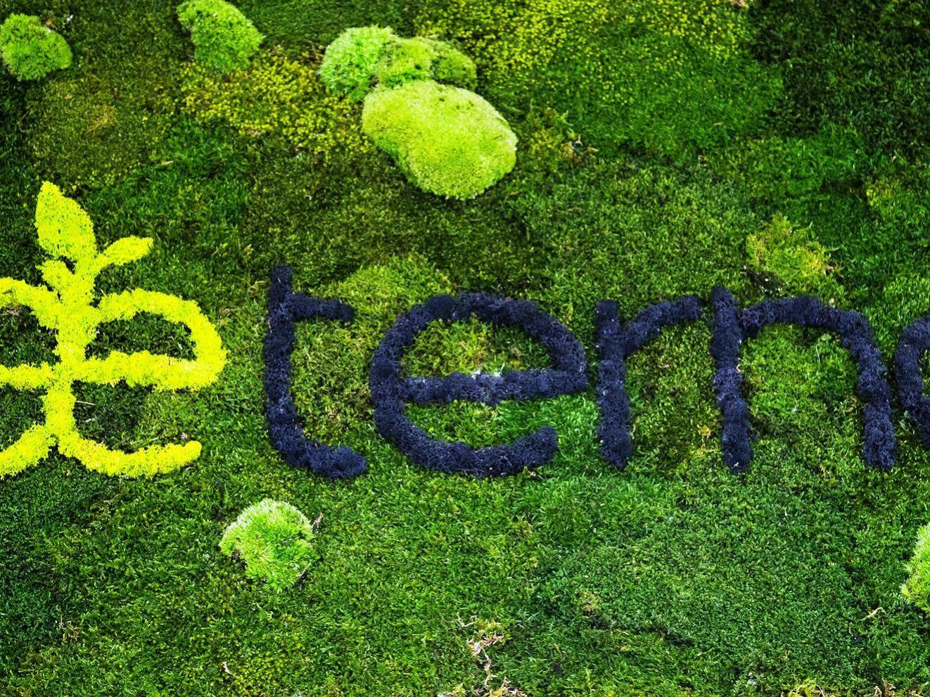 Aeterno Eco Guest House โรม ภายนอก รูปภาพ